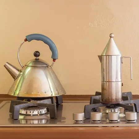 Great View Artist's *