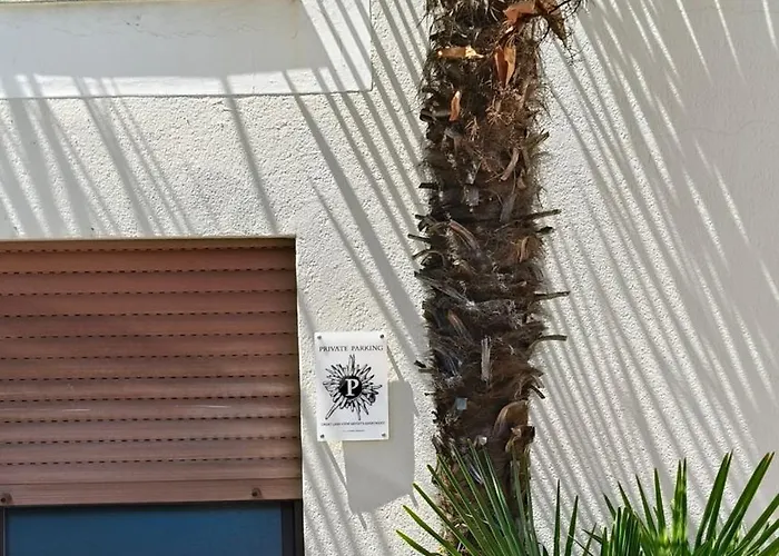 Great View Artist's *