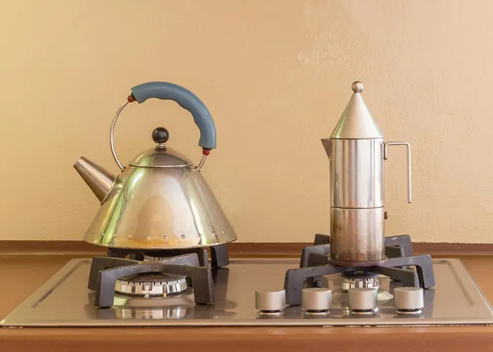 Great View Artist's *