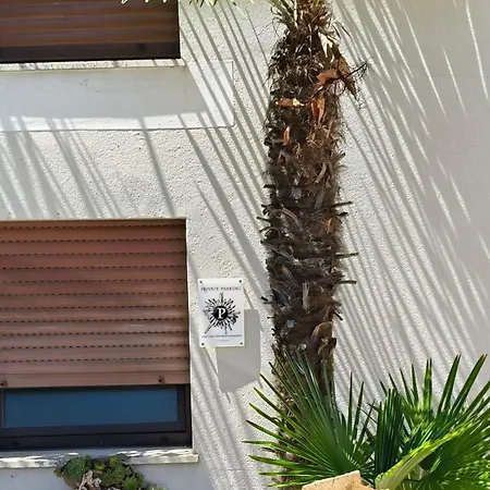 Great View Artist's *